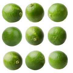 Lime isolated on white background with clipping path