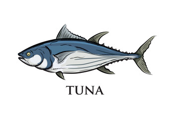 vector painted colorful tuna on white background