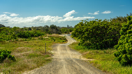 Fototapeta na wymiar Hiking tracks in Southport Spit, Gold Coast, Queensland, Australia