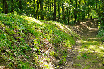 Archaeological reserve, Kuyavian tombs, Kuyavian-Pomeranian Voivodeship, Poland