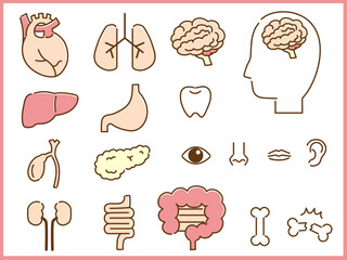 脳、顔、臓器など体のパーツイラストセット