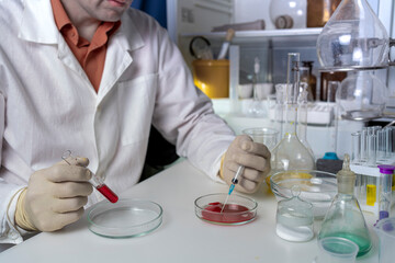 Fototapeta premium Scientist working with laboratory blood samples. The effect of food additives on humans.