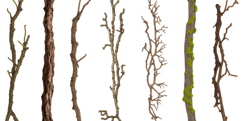 set of branches, overgrown twigs isolated on white background - obrazy, fototapety, plakaty