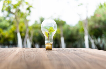 Green plant growing in lamp bulb