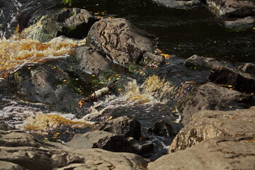 Rocky rapids on the Tokhmajoki river.