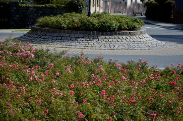 Ground cover roses are characterized by compact low growth. The shoots may be upright at first, but soon spread over the surface and sometimes form longer lying tendrils