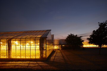 Energy management in greenhouses