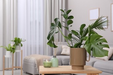 Ceramic vase with tropical leaves on wooden table in living room. Space for text