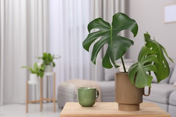 Ceramic vase with tropical leaves on wooden table in living room. Space for text