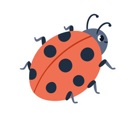 Obraz premium Ladybug, cute insect with spotted wings. Funny ladybird crawling. Lovely happy smiling lady beetle, bug. Childish flat graphic vector illustration isolated on white background
