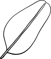simplicity banana leaf freehand continuous drawing flat design.