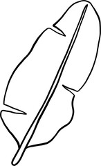 simplicity banana leaf freehand continuous drawing flat design.