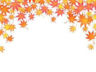 もみじのフレーム⑤上部_舞う_白背景