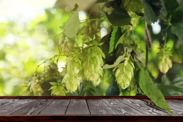 Empty wooden surface and fresh green hops growing outdoors