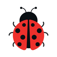 Cute Ladybug Insect Animal Animated Vector Illustration