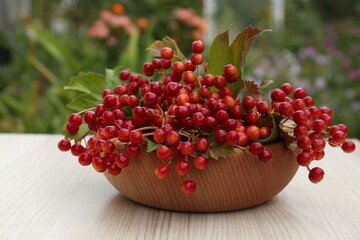 Bowl with ripe viburnum berries on white wooden table outdoors