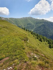 Naklejka premium landscape in the summer