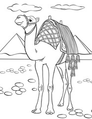 Stylized cartoon Egyptian camel on white background. Freehand sketch for adult anti stress coloring book page with doodle elements.