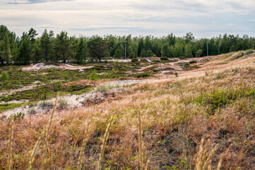 Sand dunes and forest in autumn

Ohtakari, FInland