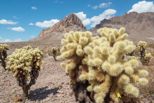 death valley in california 