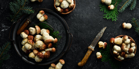Obraz na płótnie Canvas Wild porcini mushrooms on a black stone table. Top view. Organic food.