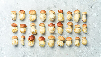 Porcini Mushrooms on a gray stone table. Organic forest food. Top view. On a stone background.