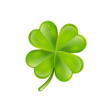 four leaf clover isolated St.Patrick Day on white background. Vector illustrated