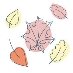Set Leaves of different trees doodle style. Cozy Fall. Autumn leaves. Vector graphics isolated on white background.