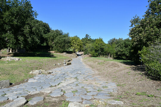 An ancient road in the archaeological park of Cuma near Naples, Italy.