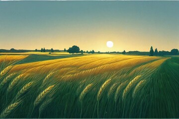 Summer landscape wheat field at sunset. High quality illustration
