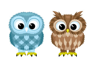 Two cute owls on a white background.