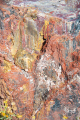 Petrified forest e painted desert in california