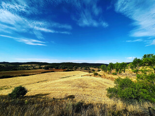 Aragon