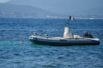 Small Zodiac type motor boat with seagulls resting on it on the mediterranean sea