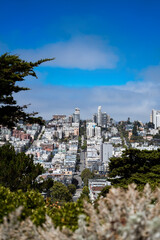 San Francisco sloped street city view from Pioneer park in the summer. Travelling in the usa NoCal California Nature travel landscape background