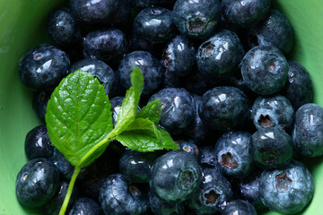 blueberries in a bowl with mint leaves.