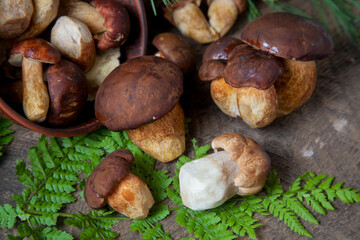 Imleria Badia or Boletus badius mushrooms commonly known as the bay bolete and Porcini mushroom commonly known as Boletus Edulis, clay bowl with mushrooms on vintage wooden background..