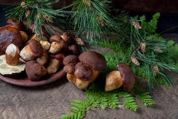 Imleria Badia or Boletus badius mushrooms commonly known as the bay bolete and clay plate with mushrooms on vintage wooden background..