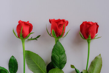 3本の薔薇