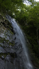 Fototapeta premium waterfall in the mountain