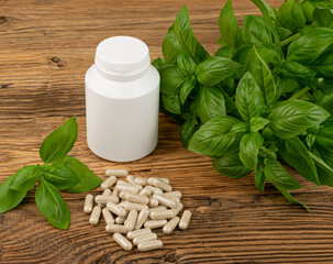 Holy Basil Capsules, Basilic Pills and Fresh Leaves, Natural Medical Diet Supplement