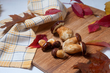 Several Imleria Badia or Boletus badius mushrooms commonly known as the bay bolete on wooden cutting board..