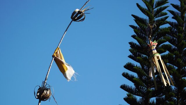 Balinese Festival Decoration Made Of Bamboo Hanging Outdoor Against Blue Sky And Pine Trees In Bali, Indonesia. close up