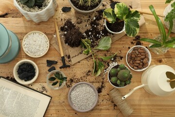 Houseplants and gardening tools on wooden table, flat lay