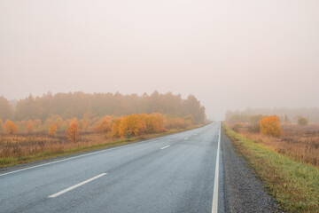 Fototapeta premium Empty asphalt country road on a foggy autumn morning. Yellow trees with falling leaves on the horizon. Autumn foggy landscape.