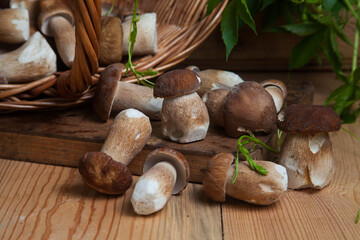 Pile of wild porcini mushrooms on wooden background at autumn season..
