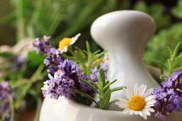 Mortar with fresh lavender, chamomile flowers, rosemary and pestle on blurred background, closeup