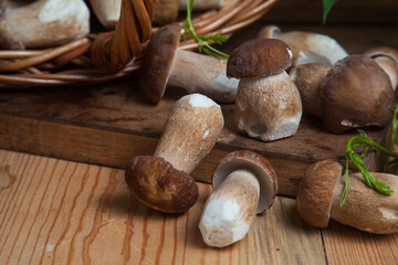 Selective focus on beautyfull porcini mushroom among the pile of wild porcini mushrooms on wooden background at autumn season..