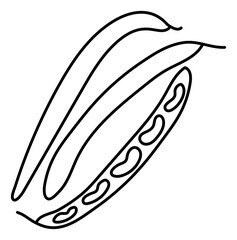 Bean. Vegetable sketch. Thin simple outline icon. Black contour line doodle hand drawn illustration