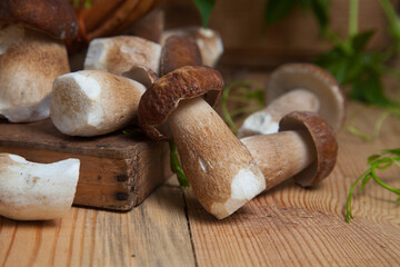 Selective focus on beautyfull porcini mushroom among the pile of wild porcini mushrooms on wooden background at autumn season..